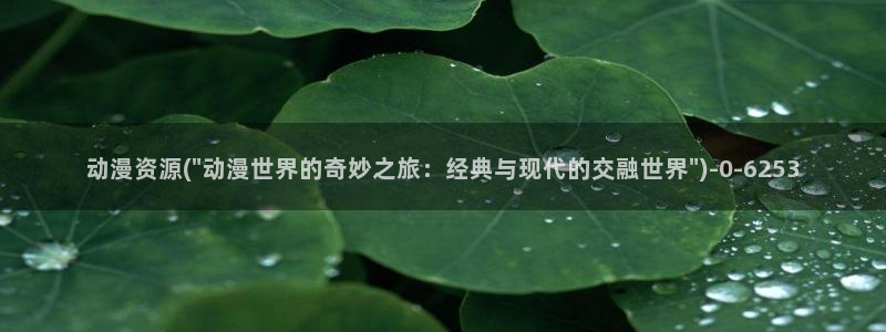 中国动漫:动漫资源(\
